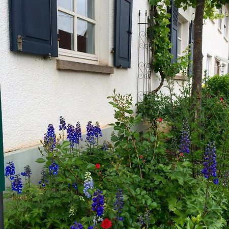Seelig'S Weinsheim  Extérieur photo